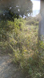 324 sq. yards East Facing Ready to Construct plot available in Nallagandla,
