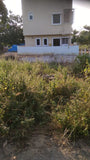 324 sq. yards East Facing Ready to Construct plot available in Nallagandla,