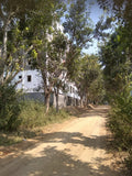 375 sq yards HUDA plot available in Nallagandla