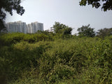 375 sq yards HUDA plot available in Nallagandla