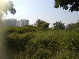 375 sq yards HUDA plot available in Nallagandla