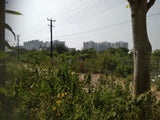 375 sq yards HUDA plot available in Nallagandla