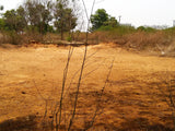 Plot for Sale 258 sq yards . HUDA Layout - Nallagandla