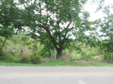 430 Sq Yards East Facing Plot Available on Nallagandla Main road,